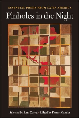 Pinholes in the Night book cover