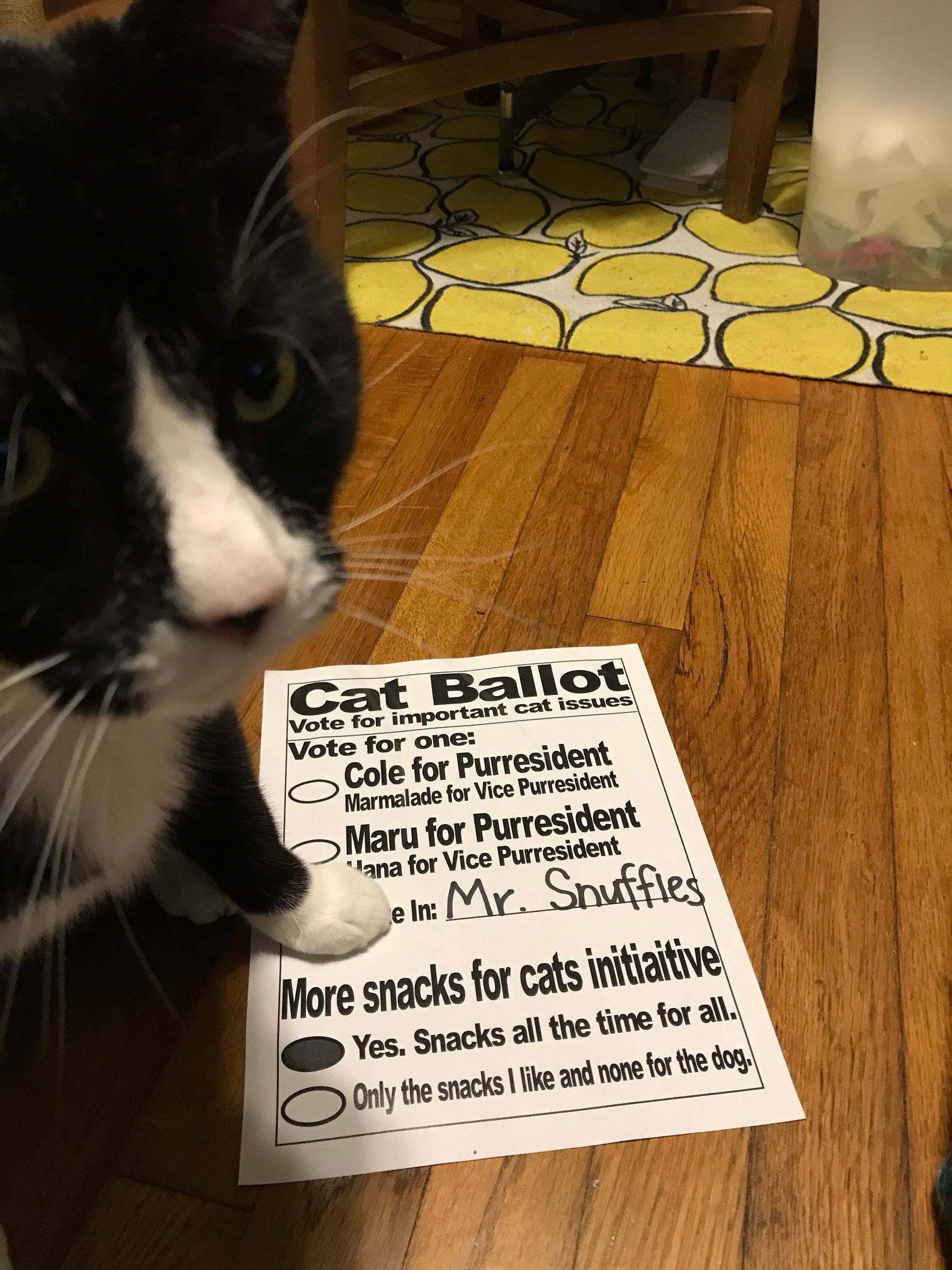 Charlie Voting Do Not Selfie