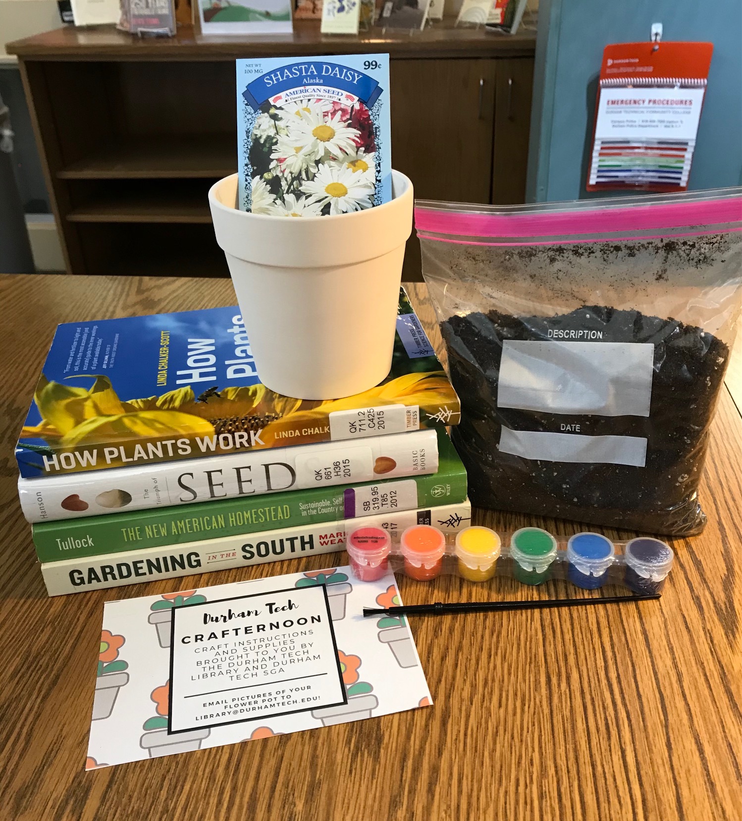 Paint your own pot (and plant your own flowers) Crafternoon kit, including ceramic pot, bag of planting soil, seed packet, paints and paintbrush. Also shown are four books on plants and gardening: How Plants Work, The Triumph of Seeds, The New American Homestead, and Gardening in the South. 