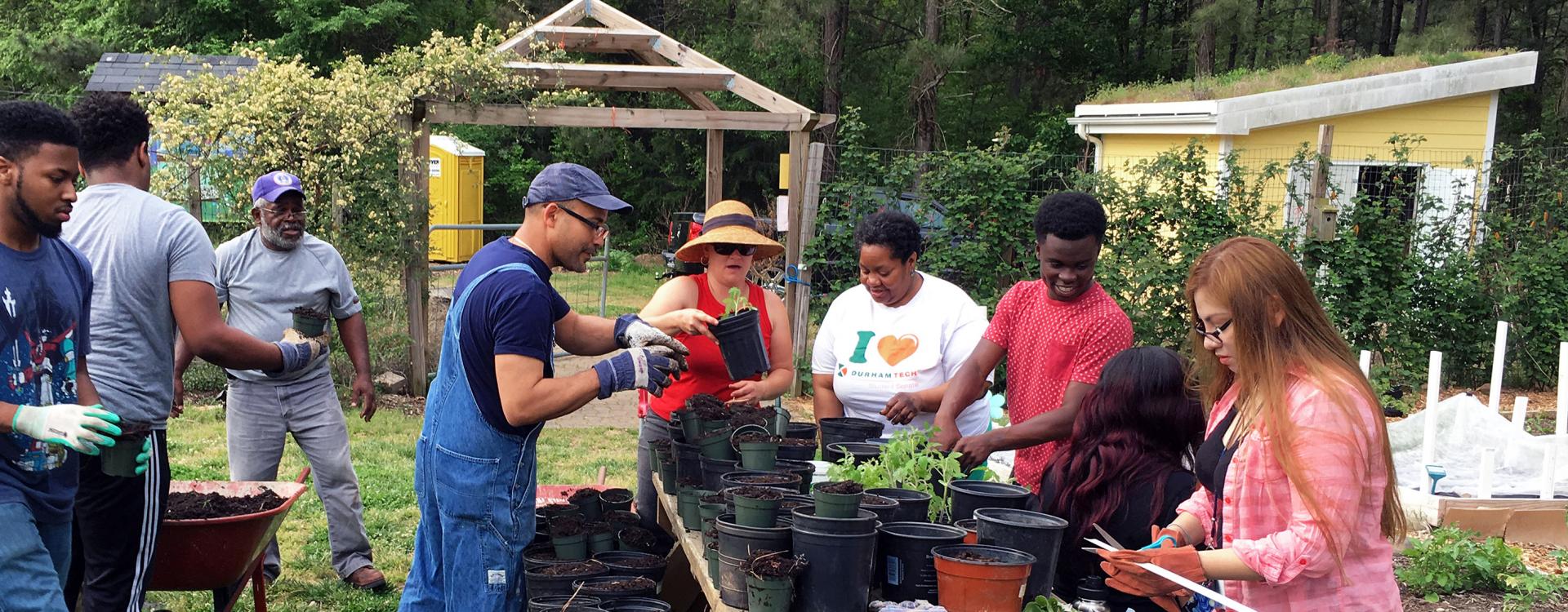 Students potting plants at Briggs Community Gardens