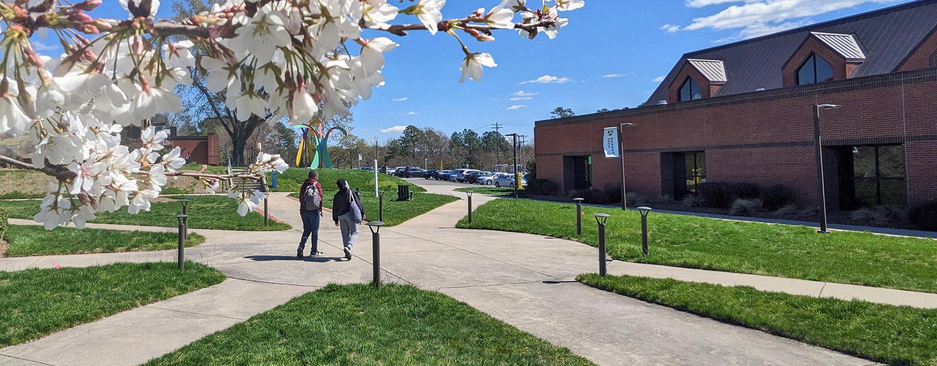 students walking through the campus quad 