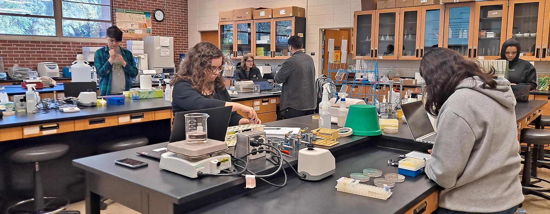 students in the SEA-GENES class are working in lab on experiments