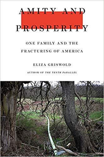 Amity and Prosperity book cover