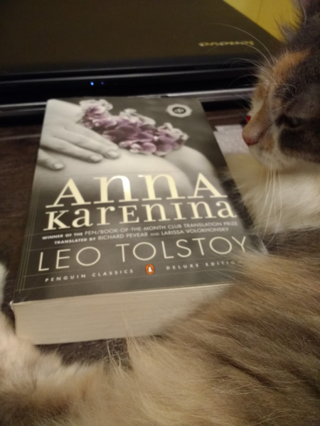 Anna Karenina by Leo Tolstoy