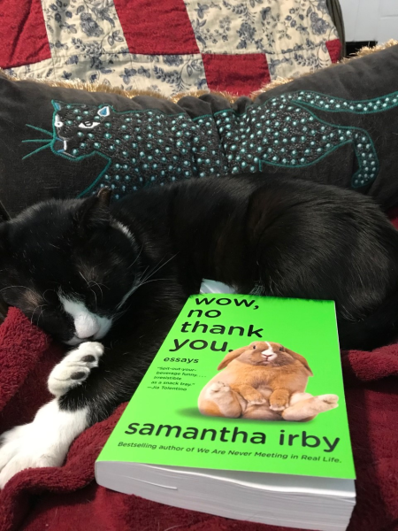 Wow, No Thank You by Samantha Irby