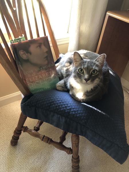Love Unknown: The Life and Worlds of Elizabeth Bishop by Thomas Travisano