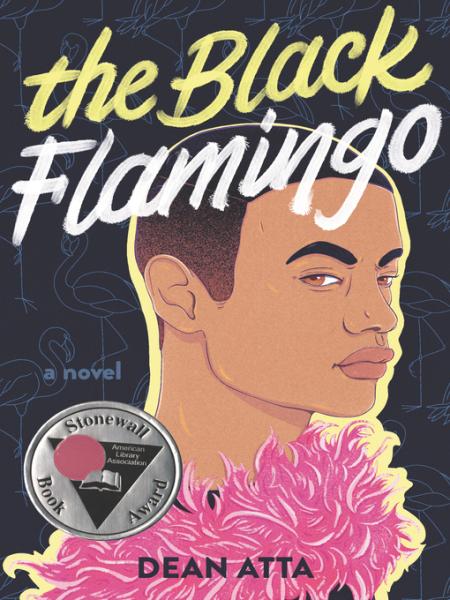 the black flamingo by dean atta