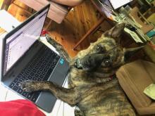 Kira Isaacs checking her email and wondering how to still stay engaged while online