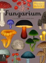 Fungarium: Welcome to the Museum by Katie Scott and Ester Gaya