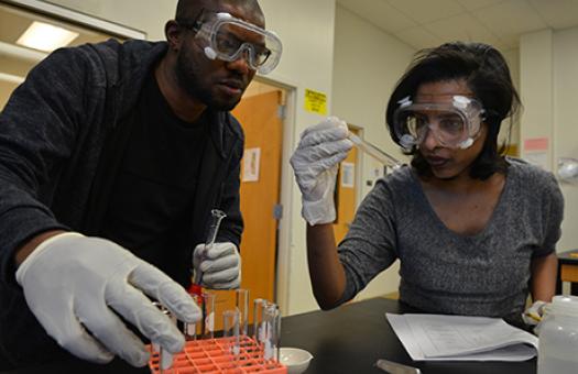 Male and female students performing chemistry experiment with test tubes