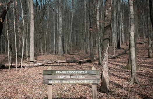 forest with park sign about fragile ecosystem and staying on the trail