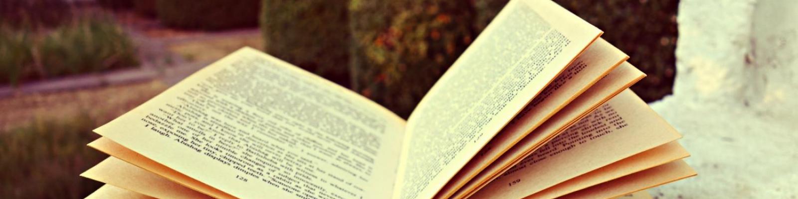 Research Guides